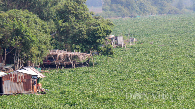 tay ninh: luc binh noi kin song, may xuc khong xue, dan kho so hinh anh 1