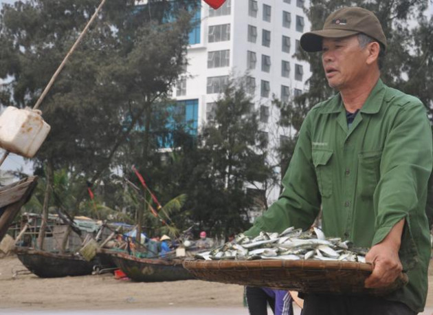 thanh hoa: day som i oi ru nhau ra bien bat hang tan ca trich tuoi roi hinh anh 6