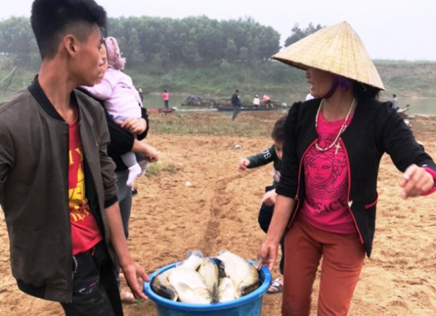 thanh hoa: hang tan ca long chet bat thuong tren dong song chu hinh anh 3