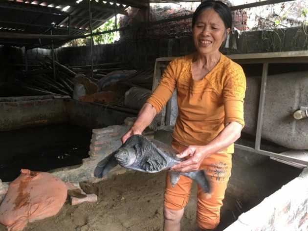 thanh hoa: nuoi ba ba gai, rua cam bo lom ngom, co cua an cua de hinh anh 6