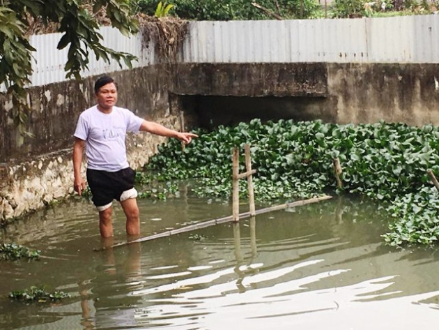 thanh hoa: nuoi ba ba gai, rua cam bo lom ngom, co cua an cua de hinh anh 8