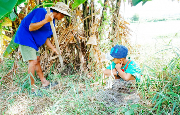 theo chan cha con anh chuot san bat chuot tren "dong cho ngap" hinh anh 3