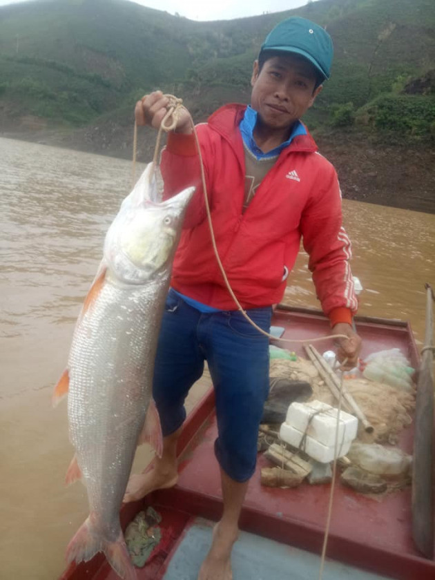 theo chan ngu phu song da san ca mang khung vi nhu "thuy quai" hinh anh 2