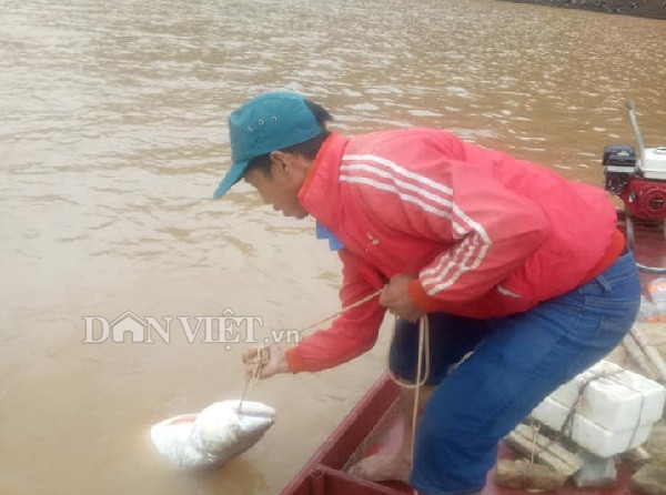 theo chan ngu phu song da san ca mang khung vi nhu "thuy quai" hinh anh 4