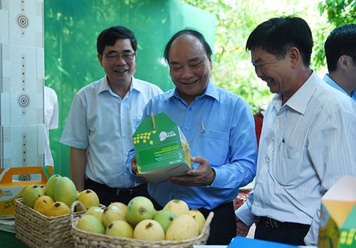 Thủ tướng đối thoại với nông dân: Hành động, kiến tạo với tam nông