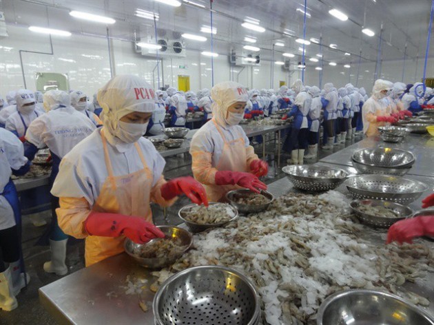 Thủ tướng sốt ruột vì thuỷ sản xuất đi liên tục bị trả về, cảnh báo