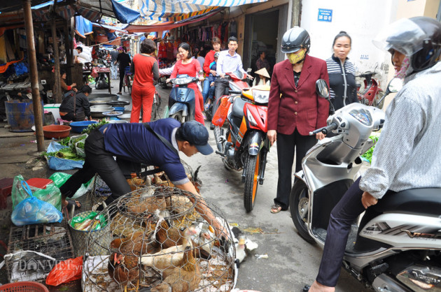 thuc hu thong tin gia gia cam tang cao bat thuong? hinh anh 2