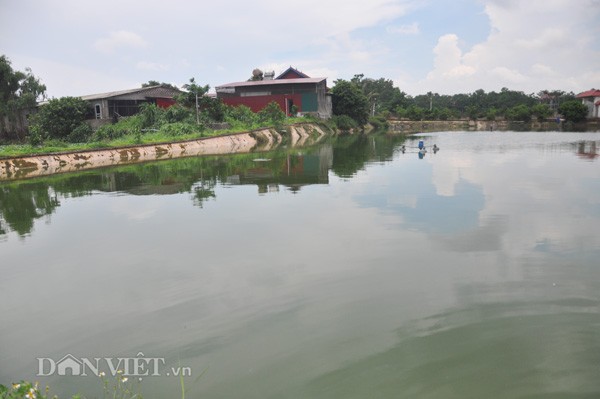 toi se noi that voi thu tuong ve kho khan cua nguoi nuoi lon hinh anh 4