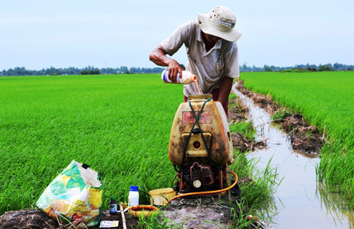 Tồn 258 tấn thuốc bảo vệ thực vật, Bộ NNPTNT đề xuất bán sung quỹ