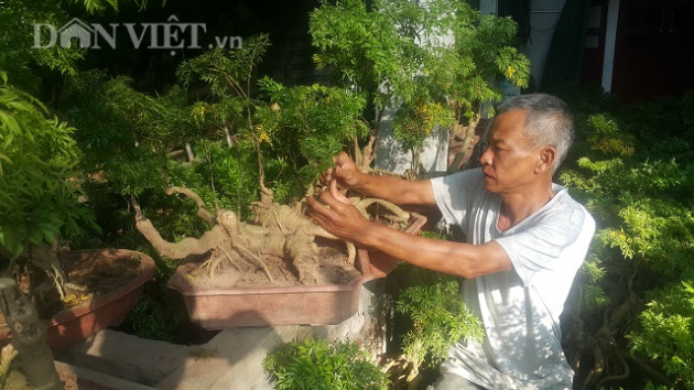 tren san uon "sam nguoi ngheo", duoi ao tha ca koi, kiem bon tien hinh anh 2