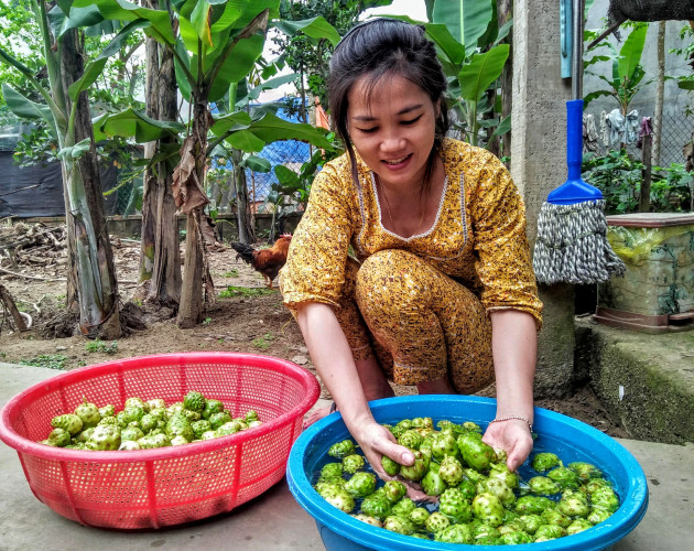 trong cay nhau, nhieu noi het hot, nhung o day cay van "de" ra tien hinh anh 3