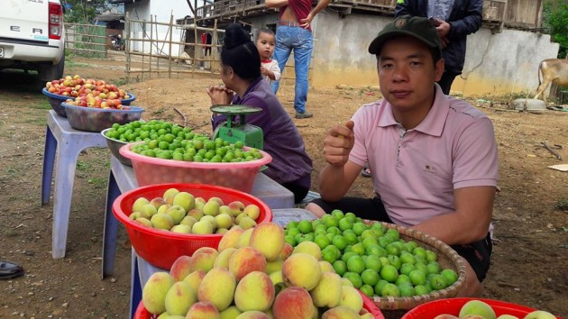 trong cay ra qua vua an vua nham mat, toi vu thu tien trieu/ ngay hinh anh 4