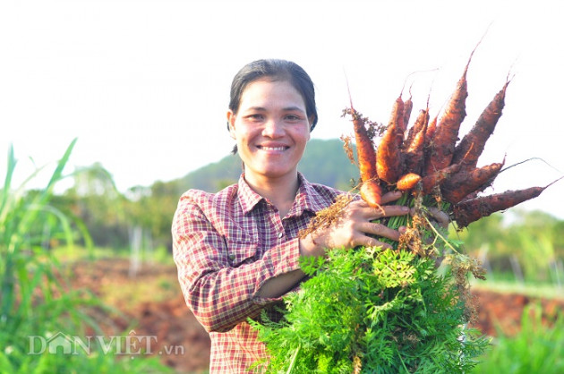 trong rau "kieu la", bat sau bang tay, nguoi churu ban dat hinh anh 4