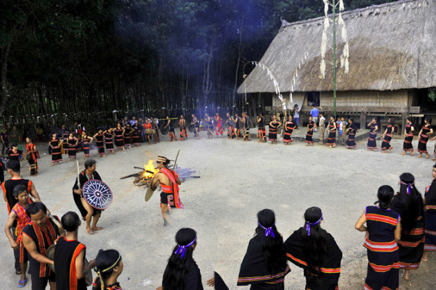 trung ky nhong rung, o day la mon quy hiem thuoc hang dac san hinh anh 2