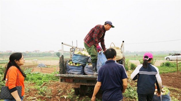 tu "tai nan" cua cu cai, su hao: dung san xuat kieu cau may hinh anh 3