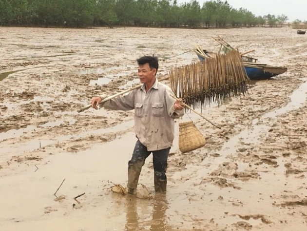 Tuyệt chiêu săn loài cá bơi lặn giỏi, sống được trên cạn, biết leo cây1