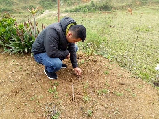 vao tan ban nghe loi ke dau nhoi long cua nguoi bi trom cay hong co hinh anh 2