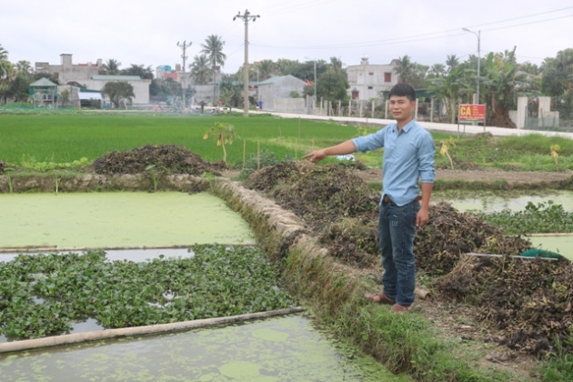 Về quê nuôi ốc nhồi đẻ khỏe lớn nhanh, trai điều dưỡng đổi đời1