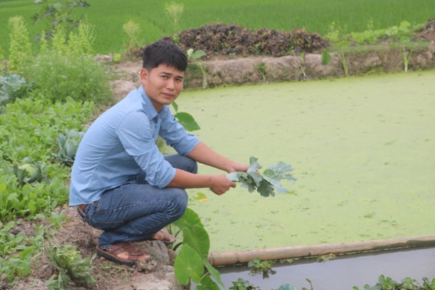 ve que nuoi oc nhoi de khoe lon nhanh, trai dieu duong doi doi hinh anh 4