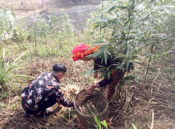 ve "thu phu" cua mon van nguoi me, ngay kiem tien trieu la thuong hinh anh 5