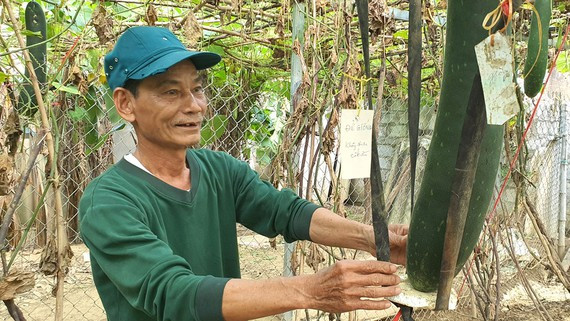 Vì sao nông dân ở đây về già vẫn được nhận...lương hưu?