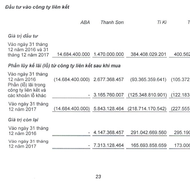 vng lai hon 1.000 ty, ong le hong minh khong tra noi khoan vay 249 ty hinh anh 2