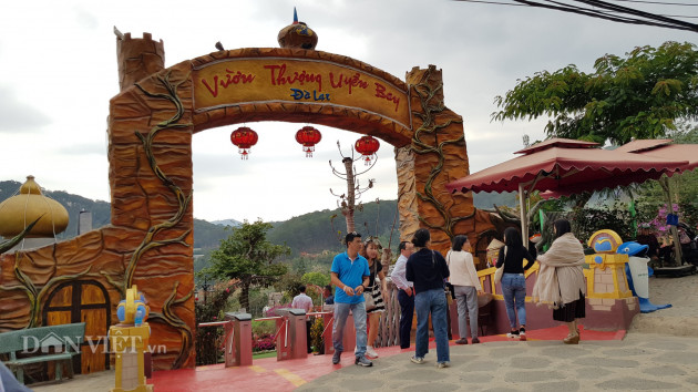 vu vuon thuong uyen bay da lat, pho thu tuong chi dao kiem tra, lam ro hinh anh 2