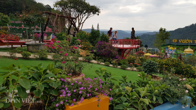 vu vuon thuong uyen bay da lat, pho thu tuong chi dao kiem tra, lam ro hinh anh 3