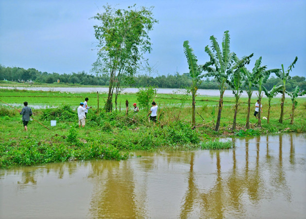 vung dat cua cac cao thu bat chuot, gui thit chuot di khap noi hinh anh 1