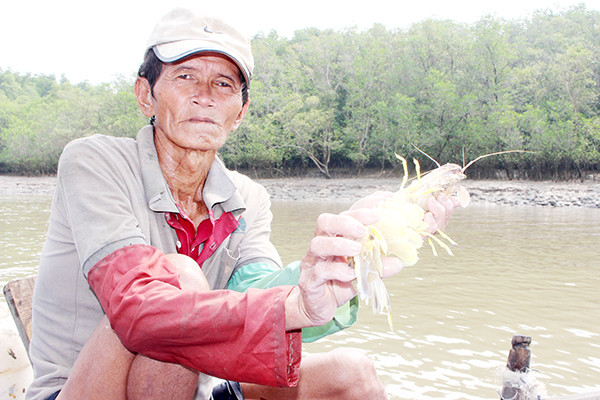 Săn "nữ hoàng" tôm tích, cá bống sao, bán giá nửa triệu đồng/kg