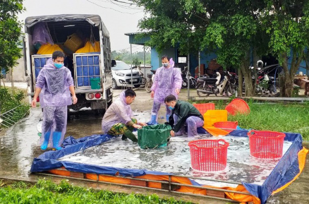 Xoay xở mùa dịch Covid-19: HTX đưa thịt, cá lên chung cư, chợ "ảo"