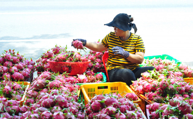 Xuất khẩu nông sản sang Trung Quốc: Thủy sản, trái cây "mắc cạn"