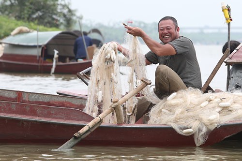 Đánh bắt &#34;lộc trời&#34; trên sông Hồng, thu tiền triệu mỗi ngày - 3