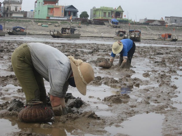 &#34;Thợ săn&#34; thu phục cá leo cây, 5 tiếng bỏ túi nửa triệu đồng - 5