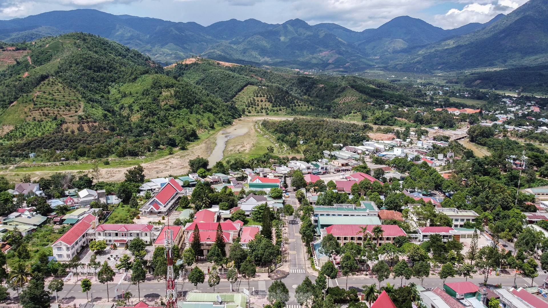 Nông dân 'hái ra tiền' nhờ giá sầu riêng phi mã - Ảnh 16