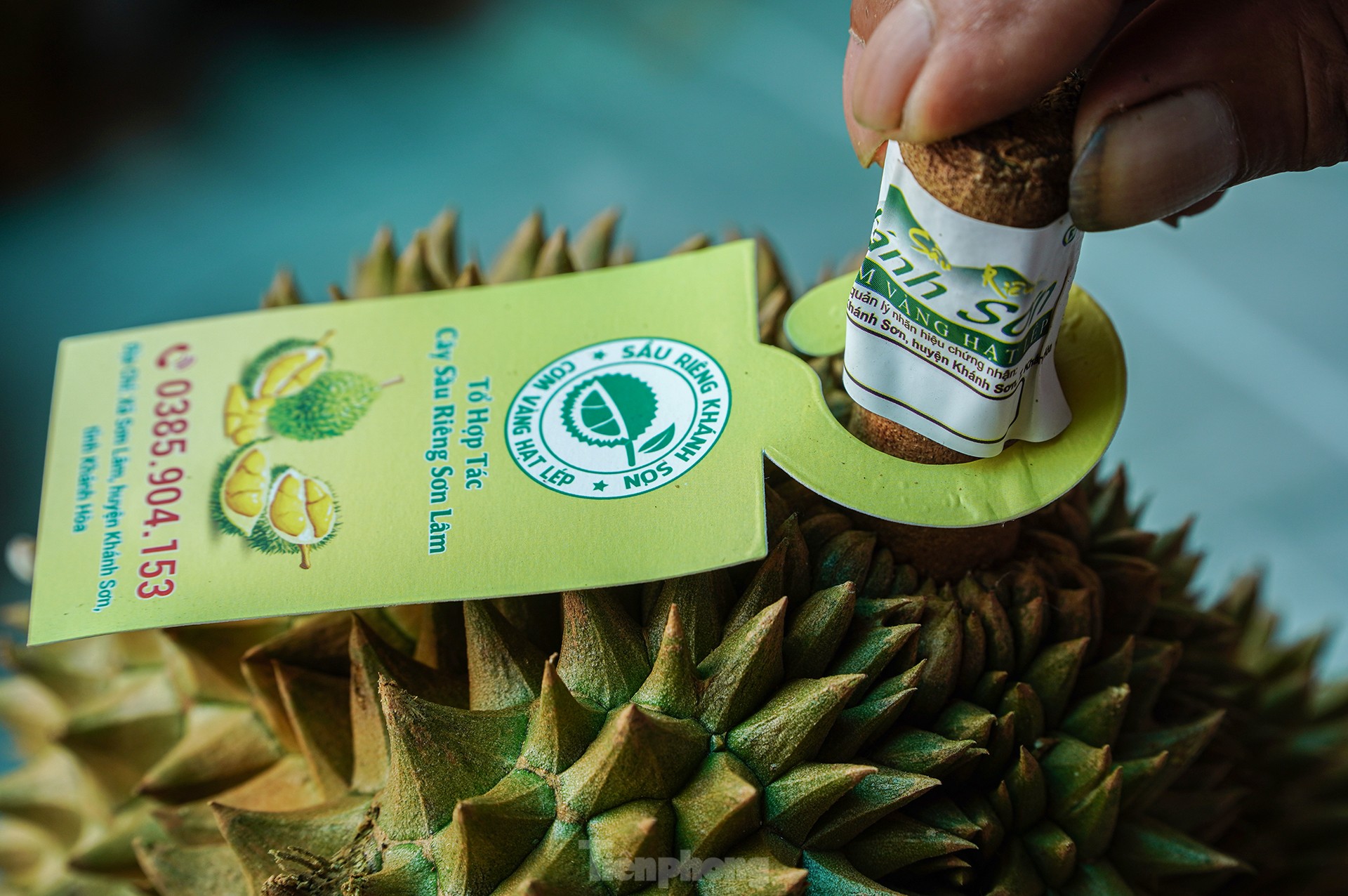 Nông dân 'hái ra tiền' nhờ giá sầu riêng phi mã - Ảnh 10