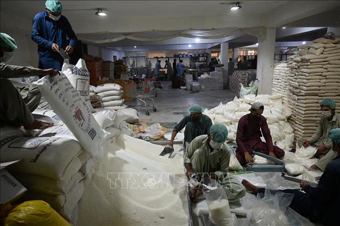 Nguyên nhân giá đường mía tăng trên toàn cầu - Ảnh 1