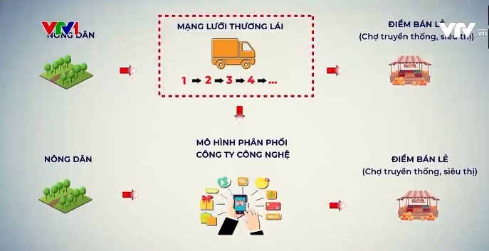 Cam sành đạt chuẩn nhưng giá chỉ… 2.000 đồng/kg - Ảnh 3