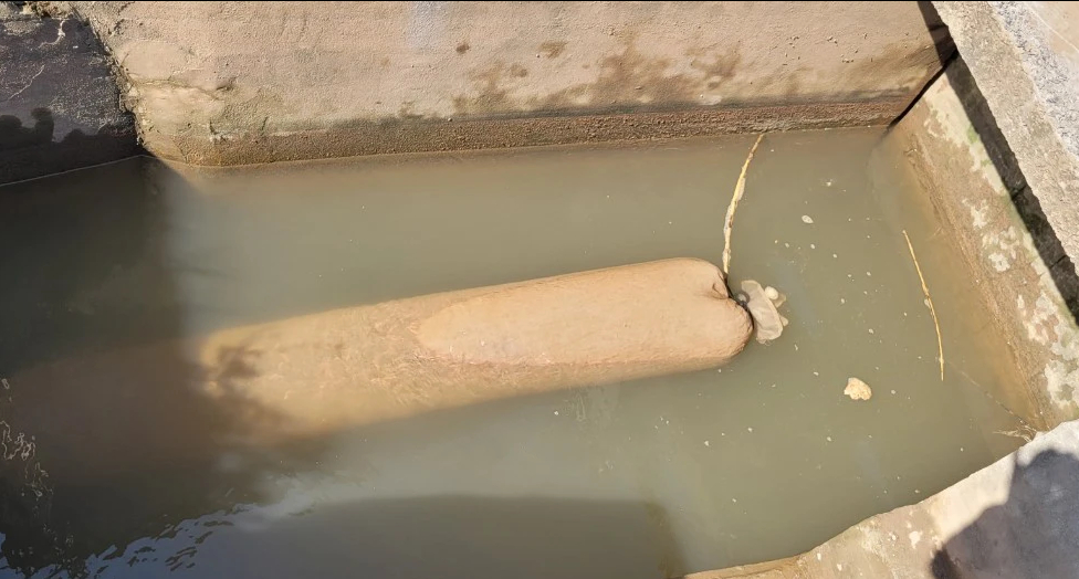 Nuôi rươi bán nửa chỉ vàng/kg, nông dân thu chục triệu đồng/ngày - Ảnh 3