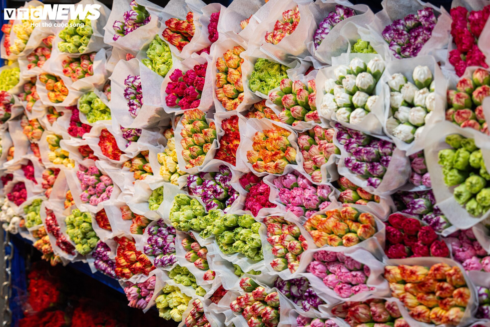 Giá hoa 20/11 tăng mạnh, nhiều cửa hàng vắng khách - Ảnh 2