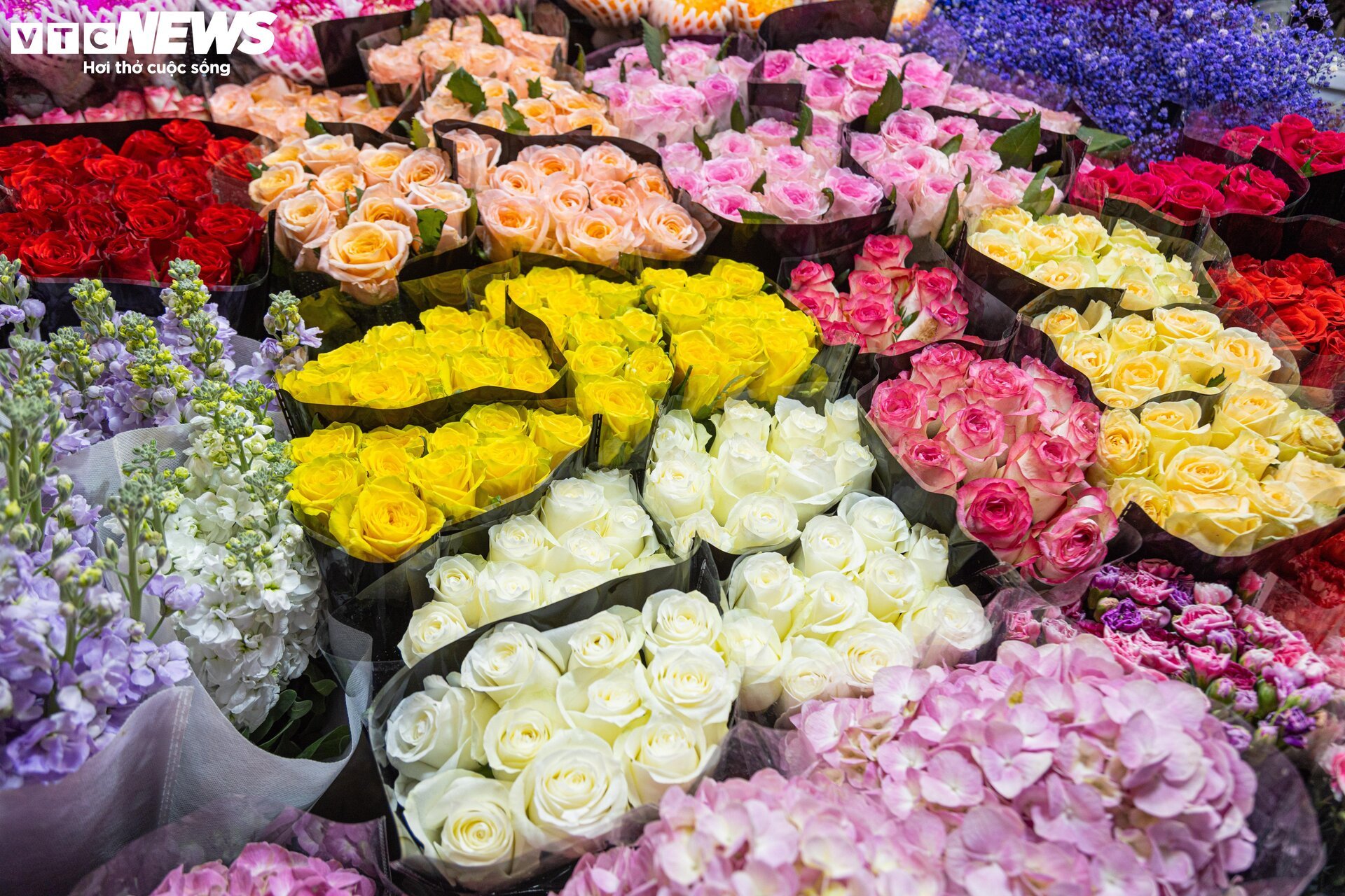Giá hoa 20/11 tăng mạnh, nhiều cửa hàng vắng khách - Ảnh 3