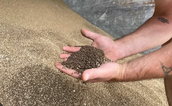 Việt Nam nắm giữ một loại ‘bảo bối’ khiến Campuchia liên tục bỏ tiền săn đón: Thu về hơn nửa tỷ USD kể từ đầu năm, giá rẻ bất ngờ - Ảnh 1