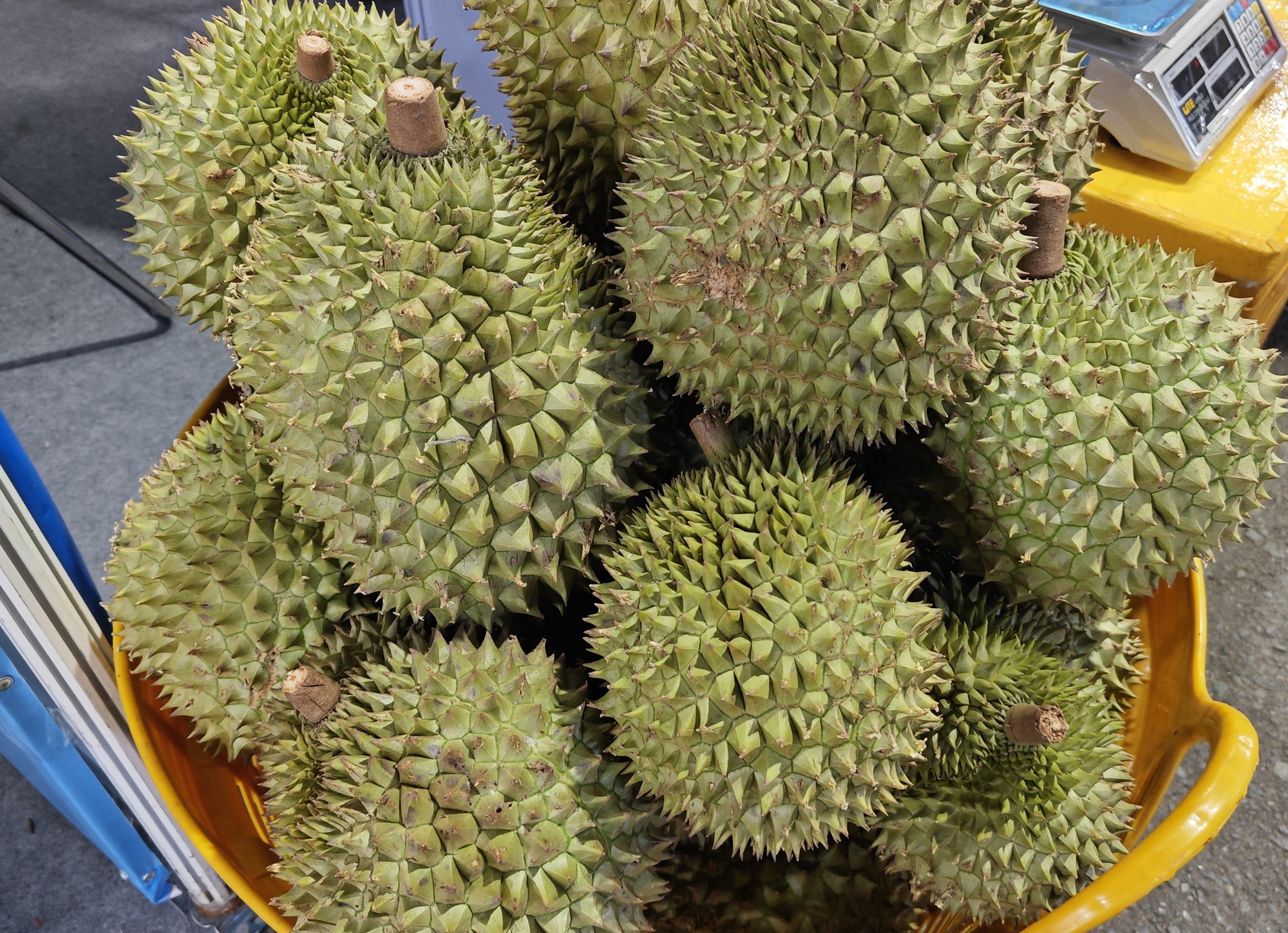 Sầu riêng đông lạnh xuất khẩu sang Thái Lan nhiều nhất - Ảnh 1