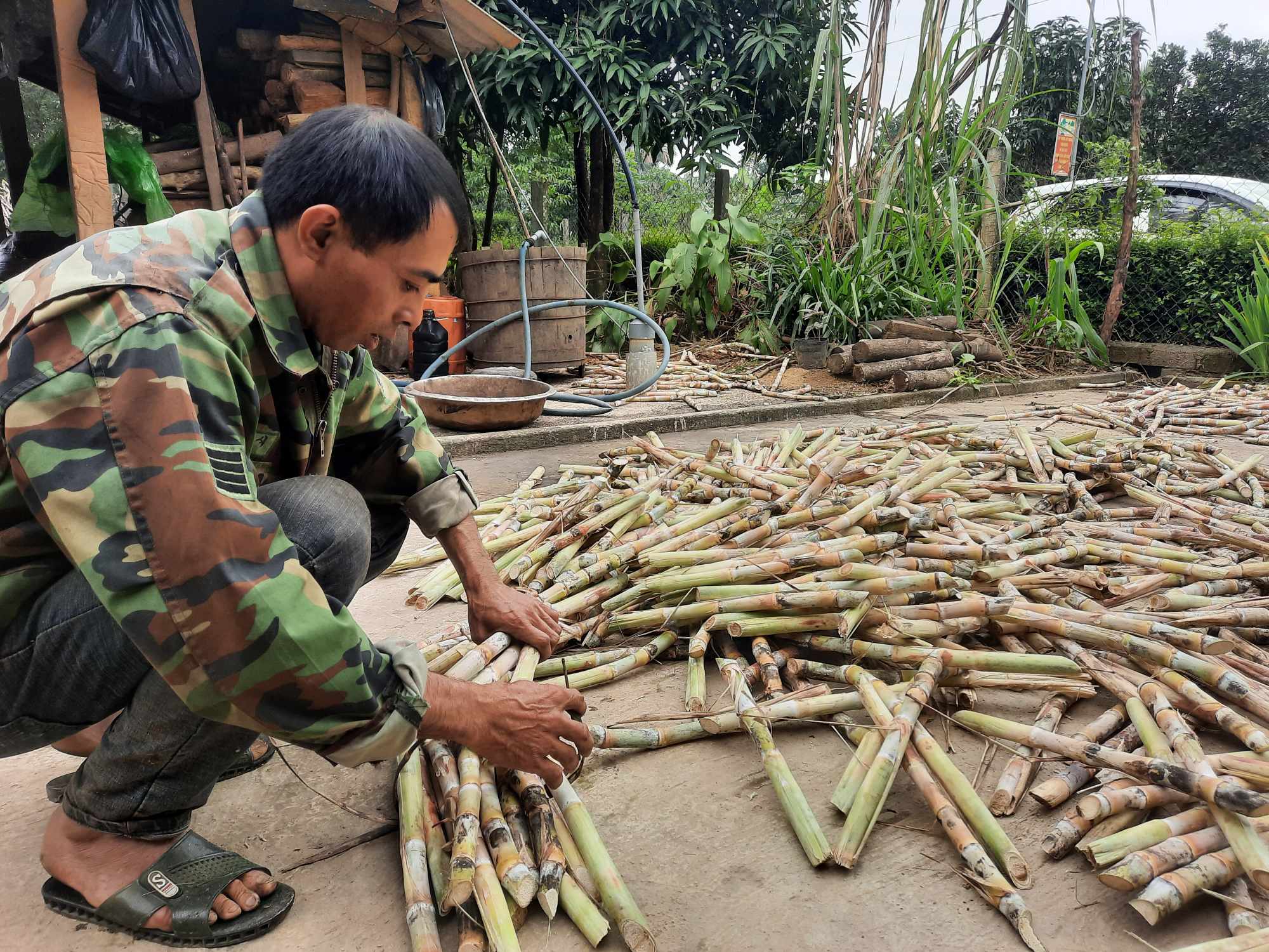 “Thủ phủ” mật mía Hà Tĩnh tất bật vào mùa sản xuất cho dịp tết Nguyên đán - Ảnh 11