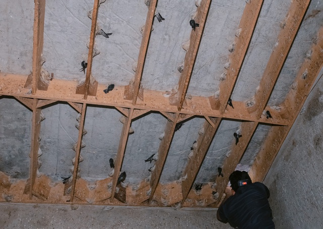 Start-up Việt Nam xuất khẩu yến định hình tiêu chuẩn 5a (AAAAA) vào thị trường Úc - Ảnh 3