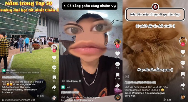 Tết đến gần kề, tràn trề linh hoạt với loạt “Vía” được giới trẻ đua nhau “Nhả” - Ảnh 4