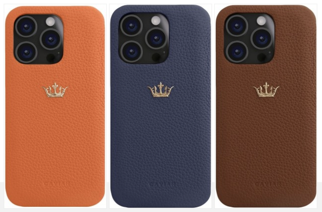 Chiếc ốp lưng này cho iPhone 15 Pro Max có giá còn đắt hơn cả iPhone 15 Pro Max - Ảnh 2