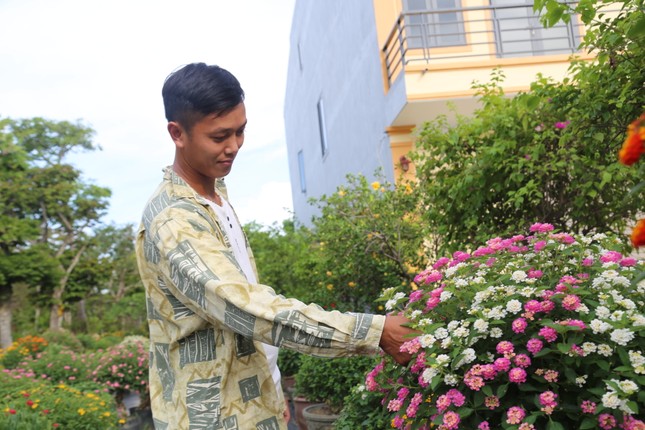 Loài hoa dại lên đời thành bonsai ngũ sắc tiền triệu hút khách dịp Tết - Ảnh 5