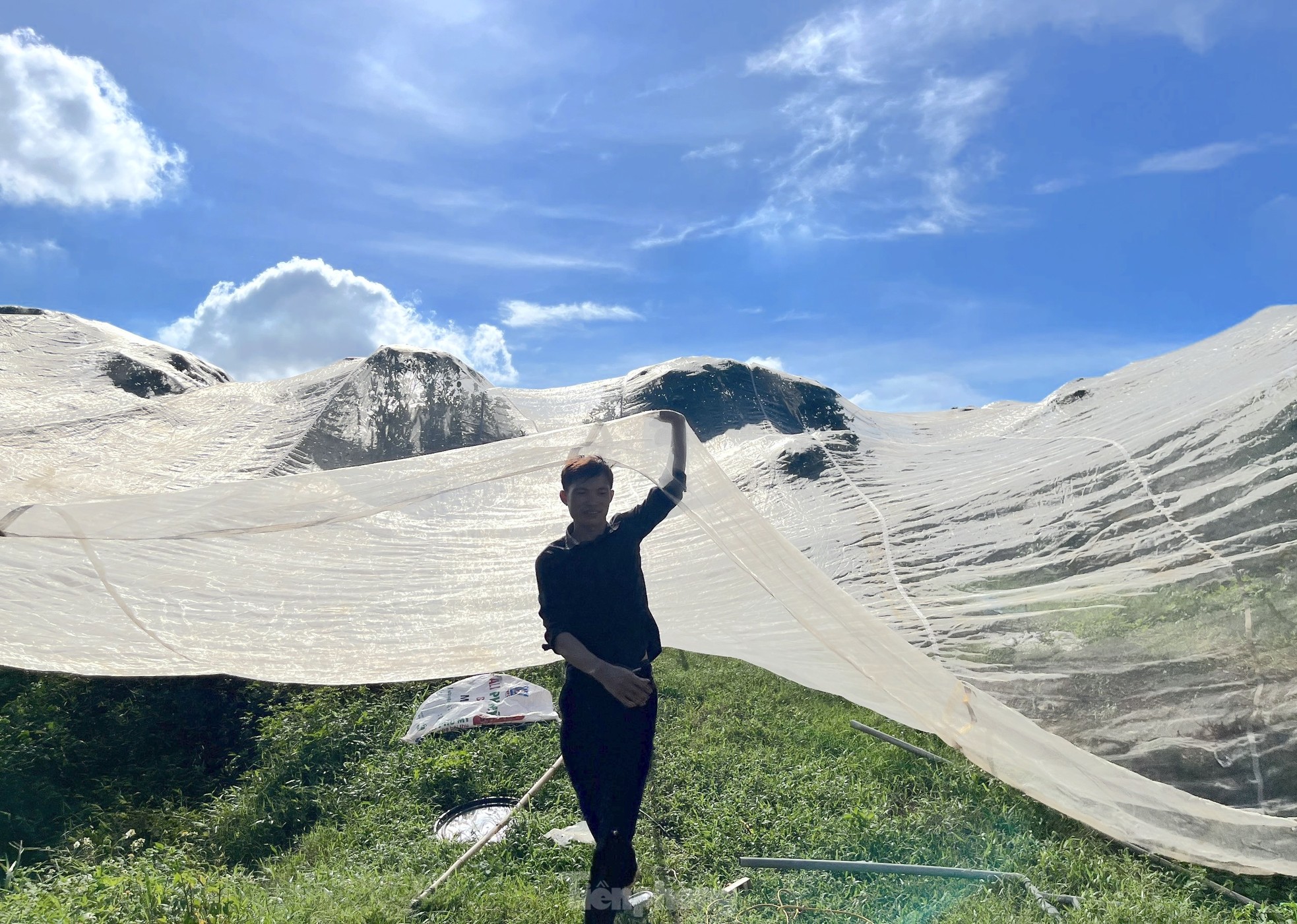 Nông dân bỏ ra hàng trăm triệu 'mắc màn' cho cam - Ảnh 4