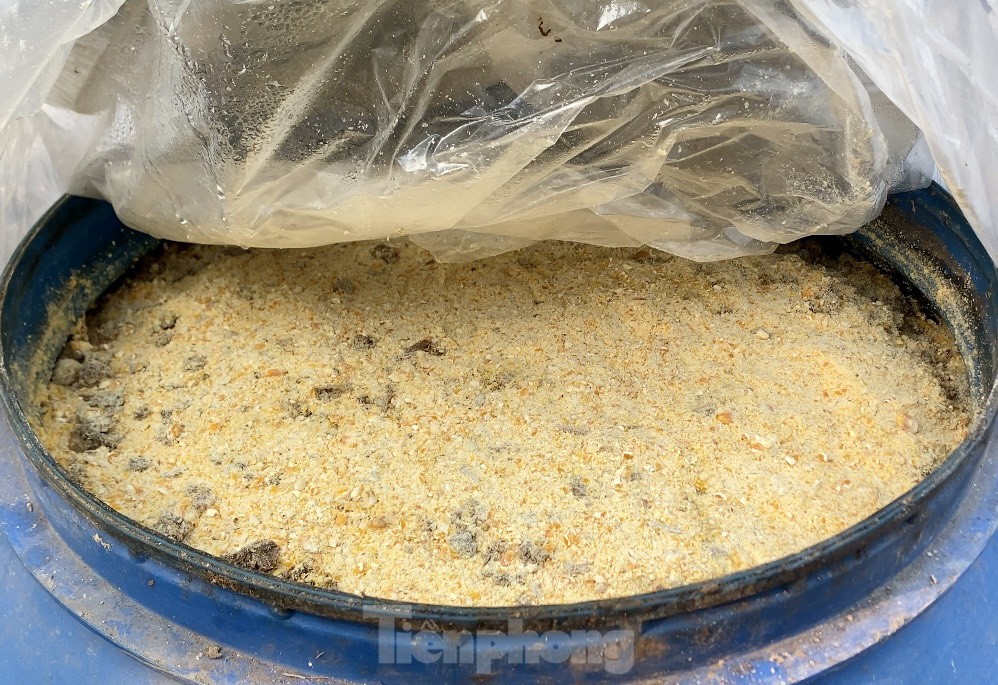 Ngắm gà đi tất, nằm đèn hồng ngoại giá 'khủng' - Ảnh 10